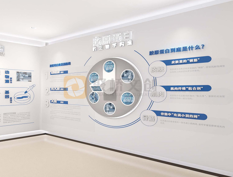 生物醫(yī)藥公司企業(yè)展廳設(shè)計效果圖.jpg